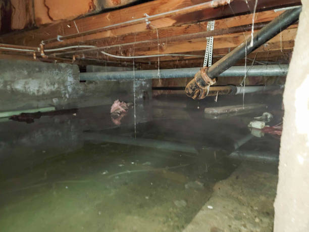 Fire Damage Restoration in Cheverly, MD
