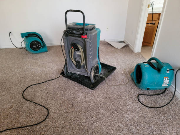 Best Residential water damage restoration  in Cheverly, MD
