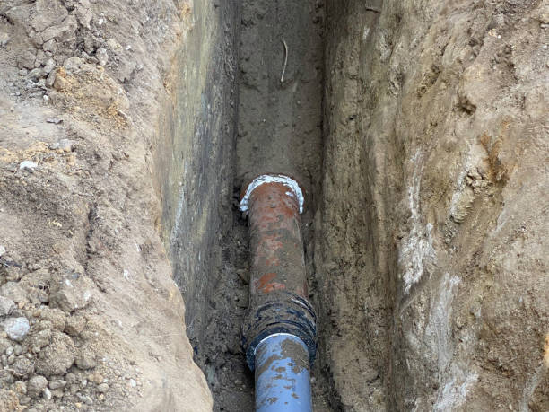 Best Basement water damage restoration  in Cheverly, MD