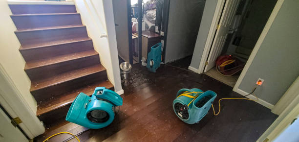 Best Fire Damage Restoration  in Cheverly, MD