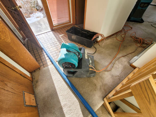 Best Sewage cleanup and water damage restoration  in Cheverly, MD