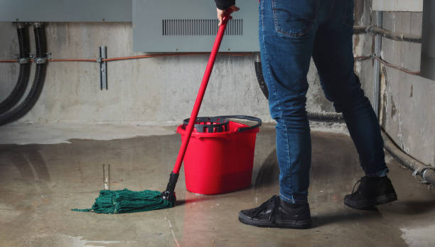 Professional Water damage restoration in Cheverly, MD