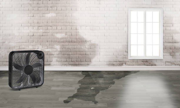Best Commercial water damage restoration  in Cheverly, MD