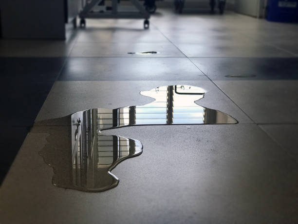 Best Professional water damage repair  in Cheverly, MD