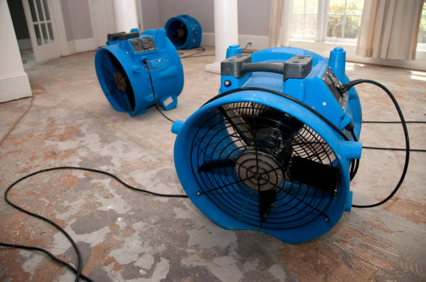  Cheverly, MD Water damage restoration Pros