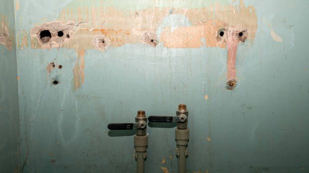 Best Local water damage restoration  in Cheverly, MD