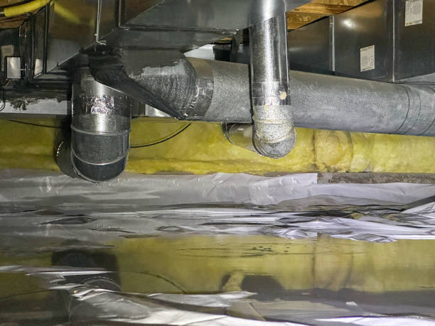 Best Flood damage cleanup  in Cheverly, MD