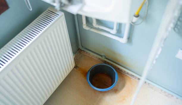 Best Flooded house restoration  in Cheverly, MD