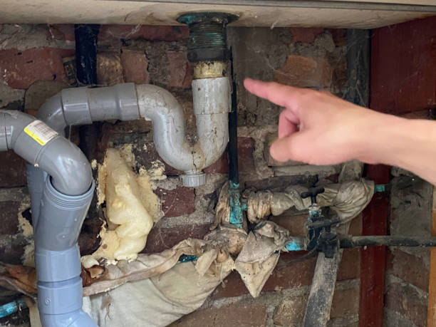 Best Water damage contractors near me  in Cheverly, MD