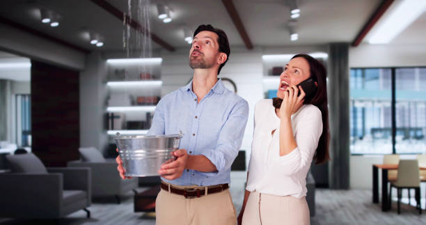 Best 24/7 water damage repair  in Cheverly, MD