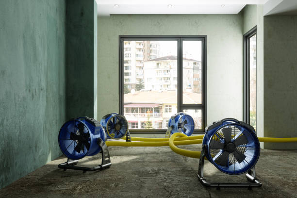 Best Residential water damage restoration  in Cheverly, MD