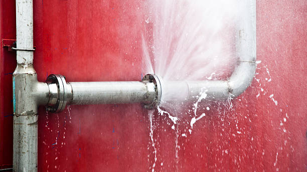 Best Water damage cleanup near me  in Cheverly, MD